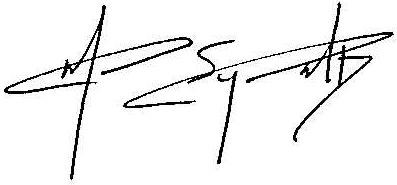 Michael Synn signature